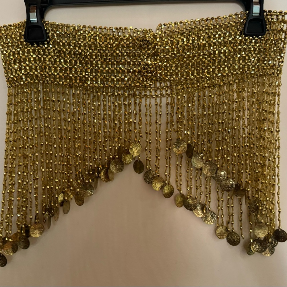 Belly Dance Gold Fringe and coin belt light weight